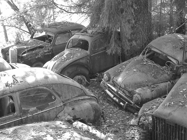 Autofriedhof - 123.JPG - Historischer Autofriedhof,    Gürbetal (CH)